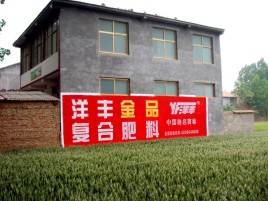 怀远如何让墙体广告展现最大化效果