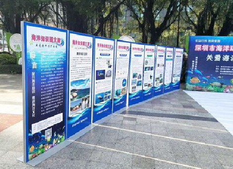 怀远KT板的种类和知识。